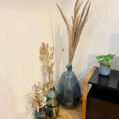 Studio Cocooning