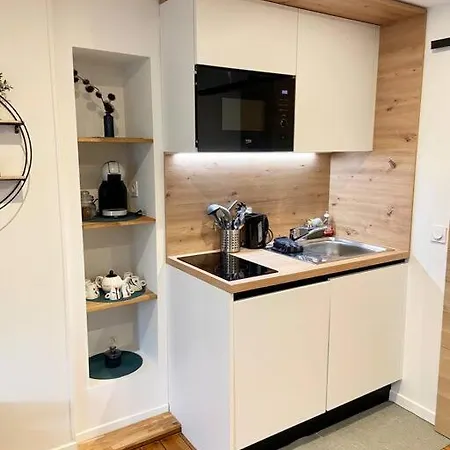 Apartment Studio Cocooning Grenoble